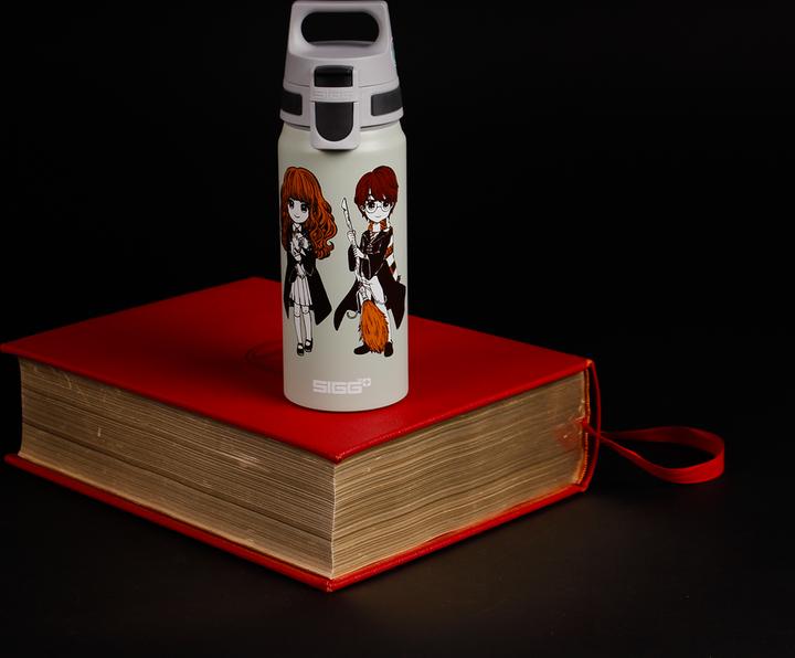 Image du produit Sigg WMB Stand Together (0.60 l)