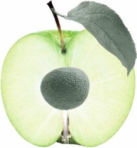 Produktbild Mettler1929 STC Anti-Aging Maske (50 ml)