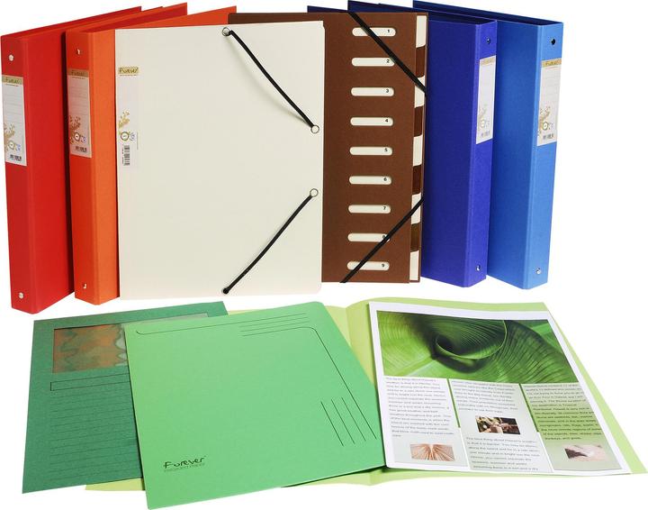 Produktbild Exacompta Sammelmappen - Aktendeckel (A4, 10 x)