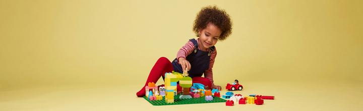 Actual product image LEGO Building panel (10980)