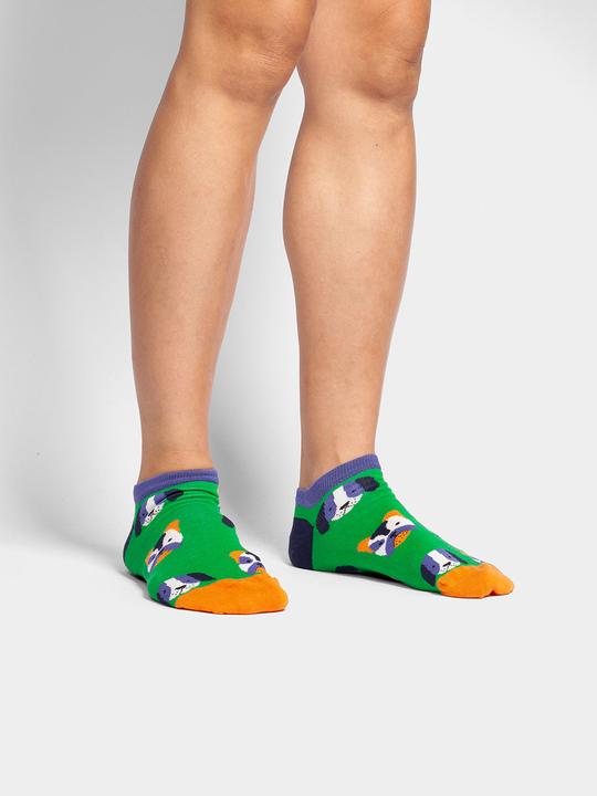 Image du produit DillySocks Portraits de chiens courts (36 - 40)
