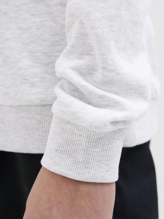 Immagine prodotto Jack & Jones Jcologan Ss24 Print Sweat Hood Sn Jnr (164)