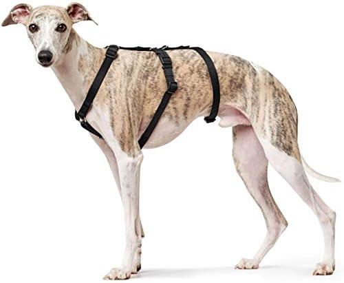 Immagine prodotto Hunter Imbracatura di sicurezza Vario Rapid (48, 49, 50, 52, 54, 56, 58, 60, 62, 68, Cane, Generale)