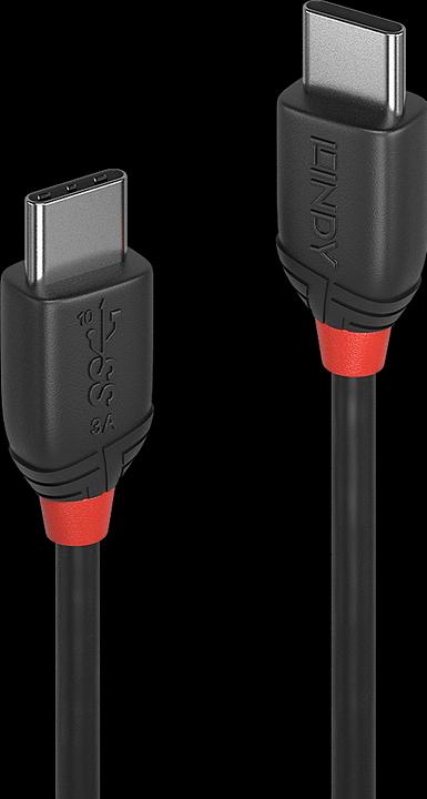 Actual product image Lindy black line (0.50 m, USB 3.1)