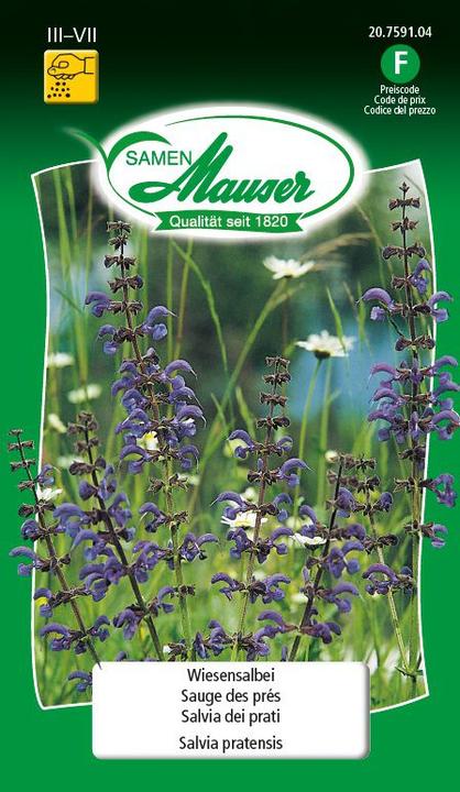 Image du produit Samen Mauser Sauge des prés (Réensemencement de la pelouse)