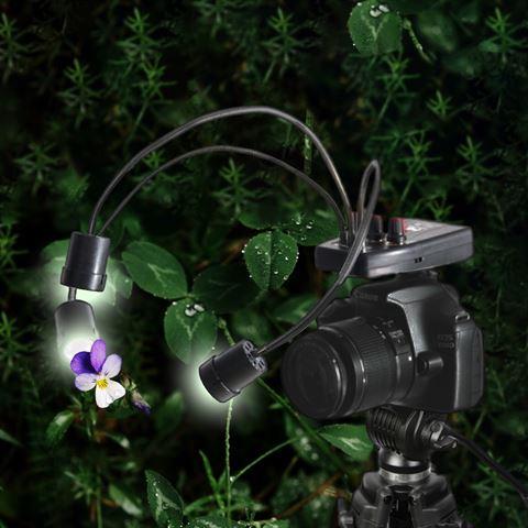Productafbeelding Falcon Eyes Macro LED Lampe DV-3B