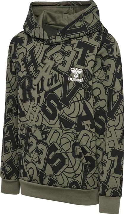 hummel hmlMOLT HOODIE