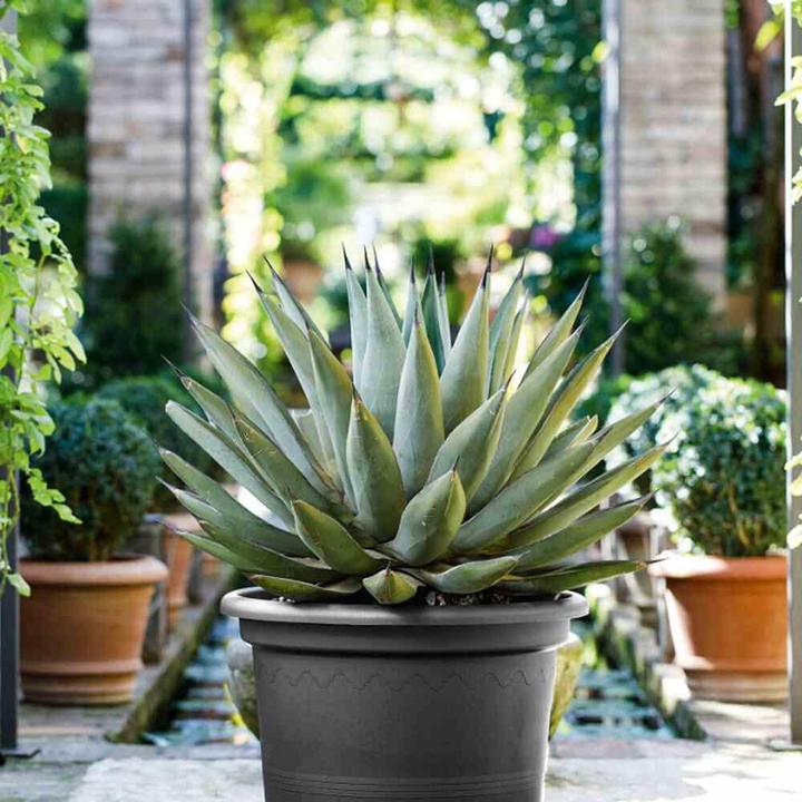 Actual product image Euro3plast Planter (45 cm)