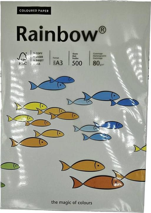 Immagine prodotto Rainbow Carta multifunzionale a colori DIN A3 80g/m² grigio 500 fogli/confezione. (80 g/m², 500 x, A3)