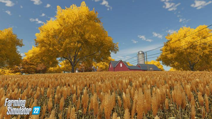 Actual product image Giants Software Farming Simulator 22 (Platinum Edition) (PS4)