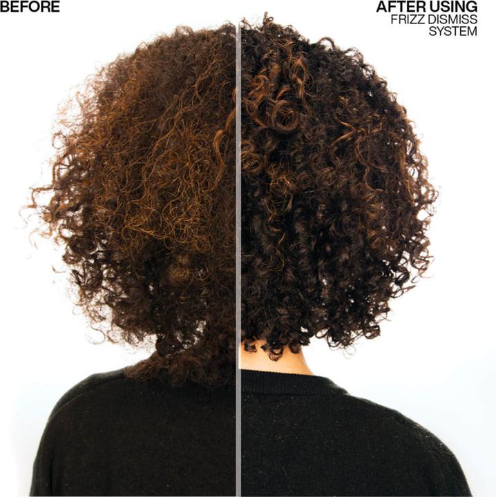 Actual product image Redken Frizz Dismiss (300 ml)