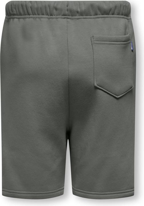 Produktbild Only & Sons Junior Osjceres Shorts Swt Noos (176)