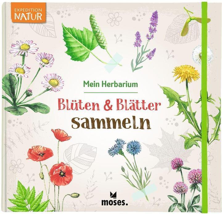 Immagine prodotto Blüten & Blätter sammeln (Tedesco, Anke Küpper, 2022)
