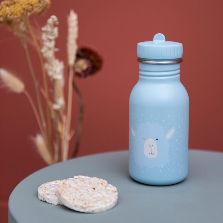 Actual product image Trixie Bottle (0.35 l)