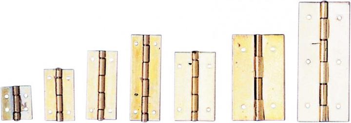 Actual product image hobbytime Hinge 8x10mm 4pcs with fitting pins