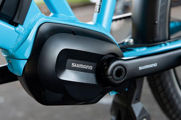 Image du produit Loden One Vélo de charge électrique (173 cm)