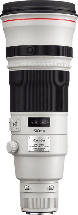 Actual product image Canon EF 500mm f/4L IS II USM (Canon EF, full size)
