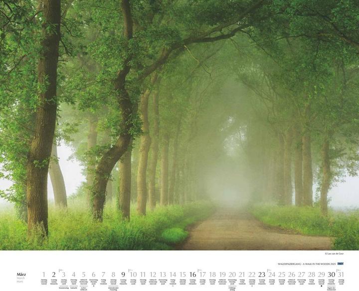 Produktbild Waldspaziergang 2025 – Fotokunst-Kalender – Querformat 60 x 50 cm – Spiralbindung (Harter Einband, Deutsch)