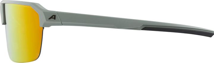 Immagine prodotto ALPINA SPORTS Swift HR (tappeto verde, Oro)