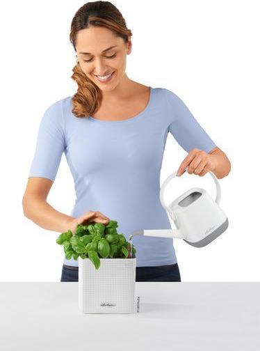 Produktbild Lechuza Cube (17 cm)