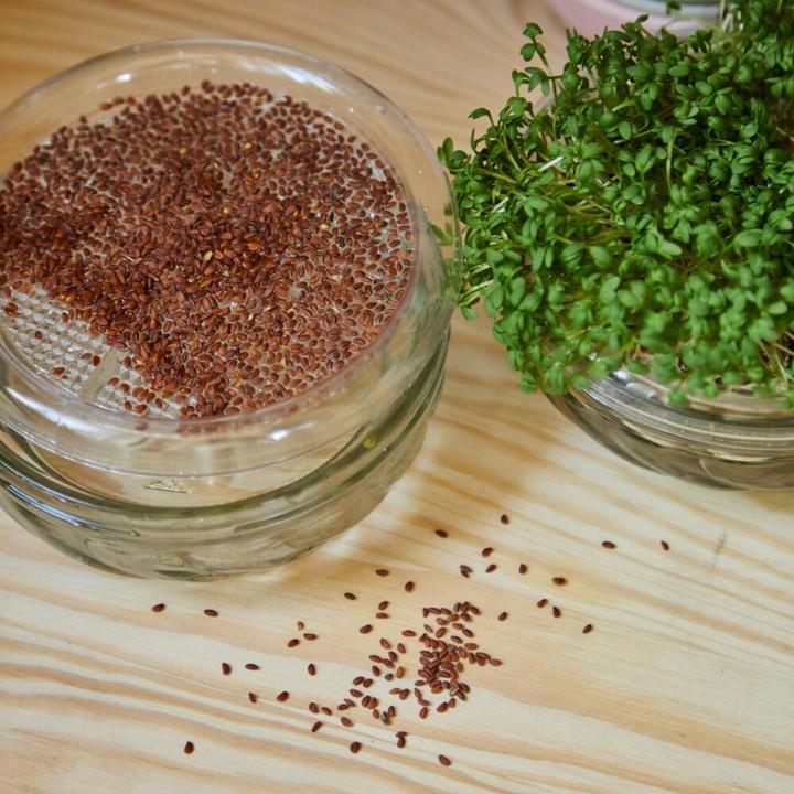 Produktbild Siena Garden Sprossenglas