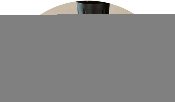 Image du produit wolfcraft Spann- und Arbeitstisch MASTER 600 (53 cm, 65 cm)