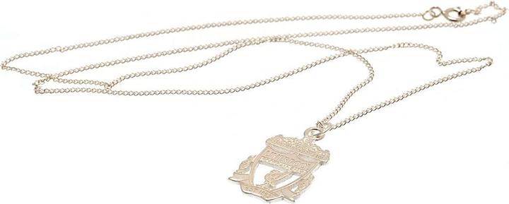 Actual product image Score Draw Necklace & Pendant (100% synthetic material)