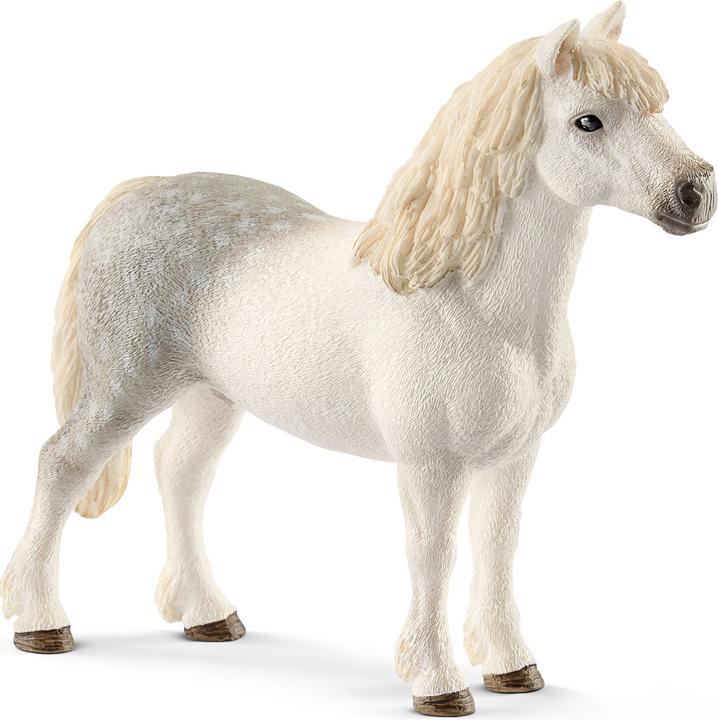 Produktbild Schleich Männlich Welsh Pony
