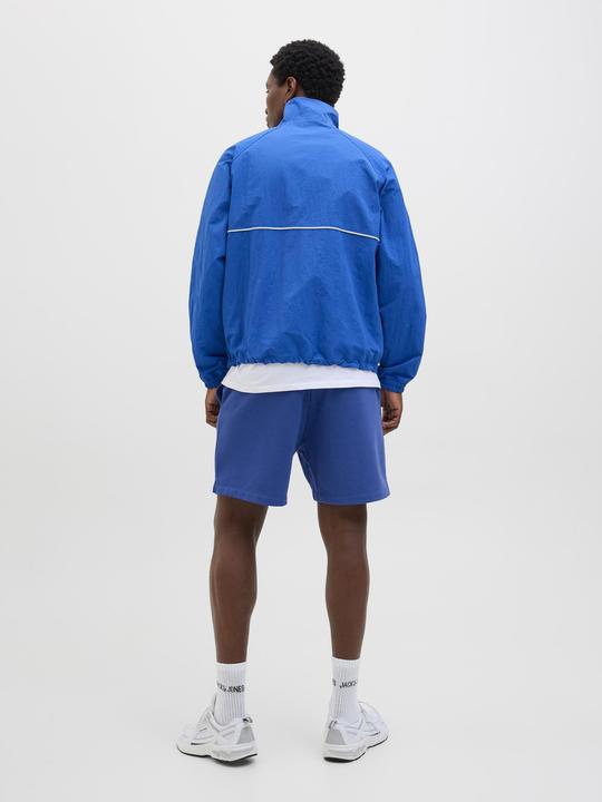 Actual product image Jack & Jones Loose Fit Loose Fit Shorts Loose Fit Shorts (L)