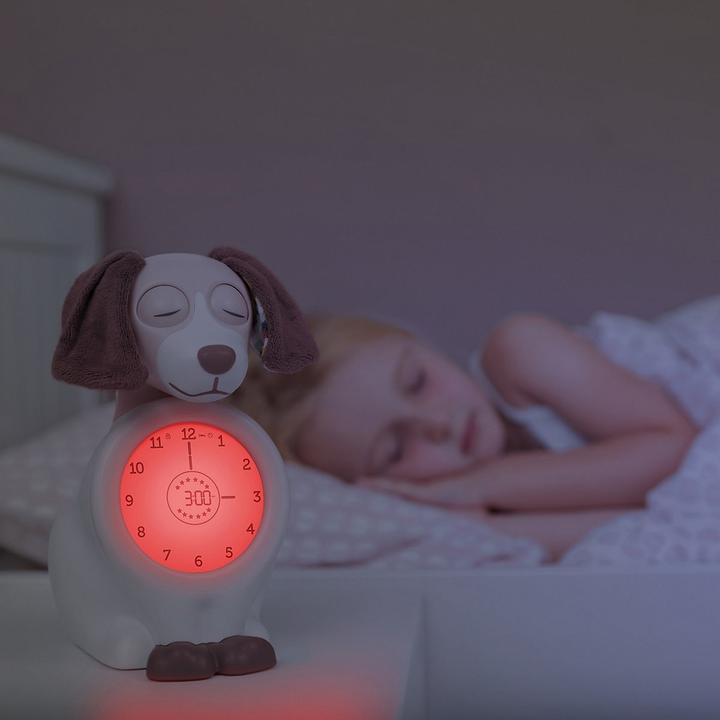 Image du produit ZaZu Coach de sommeil Davy