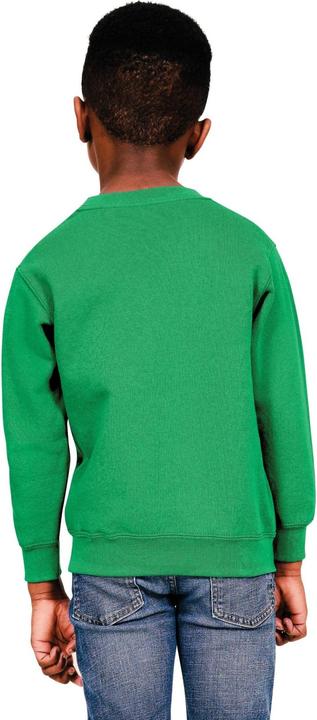 Actual product image Casual Classics Childrens/Kids Blended Ringspun Cotton Sweatshirt (116)