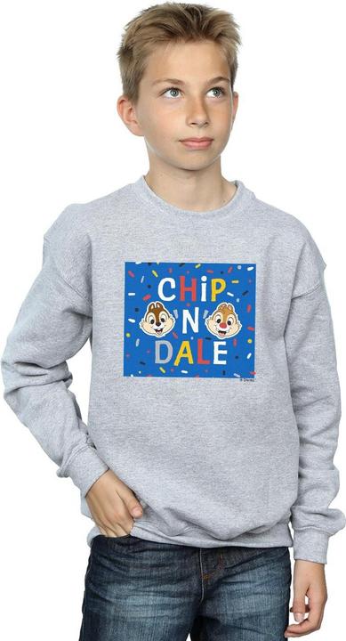 Produktbild Disney Chip N Dale Blue Frame Sweatshirt Jungen (152, 158)