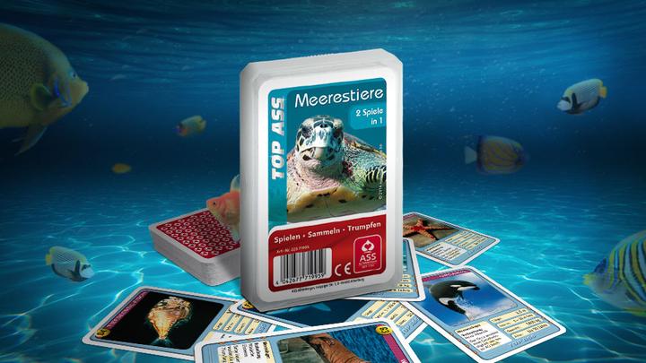 Image du produit ASS Altenburg Quartet- Animaux marins (Allemand)
