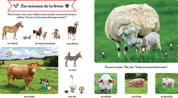 Immagine prodotto Larousse jeunesse Le grand imagier des animaux à toucher (Francese, Collettività, 2022)