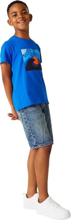 Actual product image Regatta Childrens/Kids Bosley VII Sunset T-Shirt (170, 176)