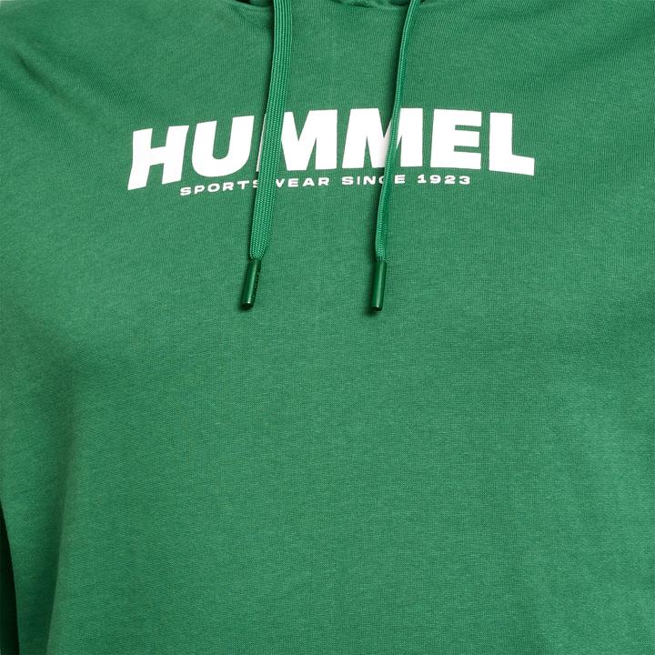 Image du produit hummel Hmllegacy Logo Hoodie Plus (XXL)