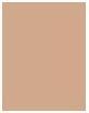 Produktbild Wet n Wild Photo Focus (Soft Beige)