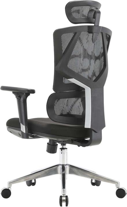 Image du produit Sihoo Chaise de bureau avec soutien lombaire