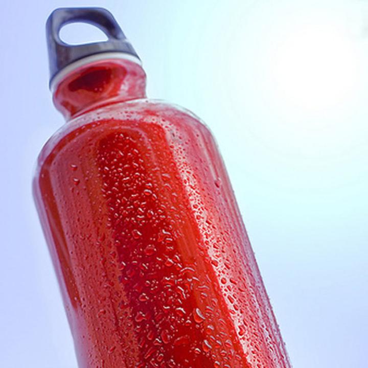 Immagine prodotto Sigg Traveller (0.60 l)