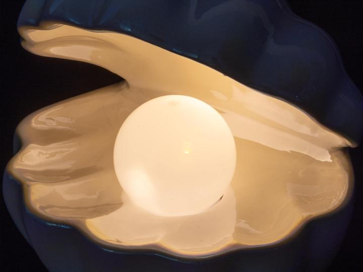 Actual product image Cocon Muschel