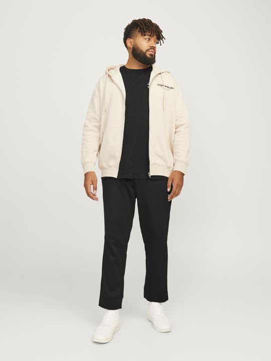Produktbild Jack & Jones Plus Size Slim Fit Hose mit Slim Fit Hose mit Slim Fit (42)