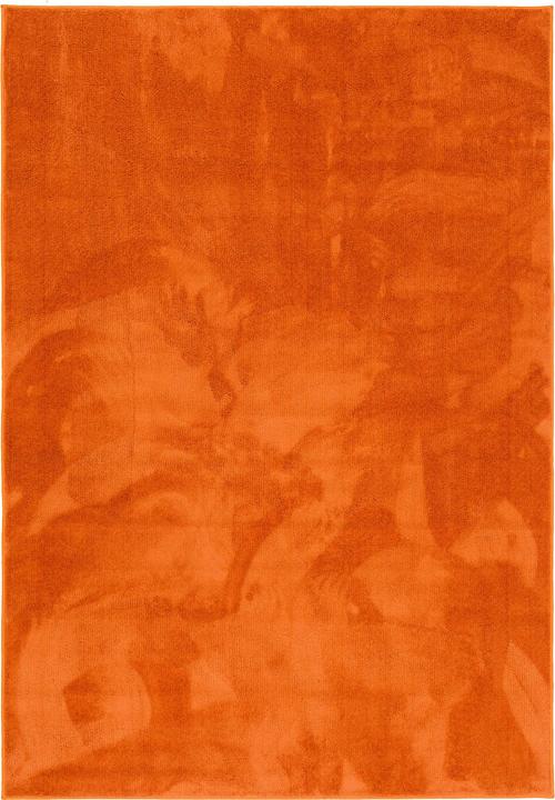 Produktbild Pergamon Super Soft Hochflor Langflor Teppich Melia Kids (120 x 170 cm)