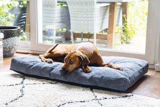 Image du produit Beeztees Coussin de couchage Orthopedic Veo (Chien)