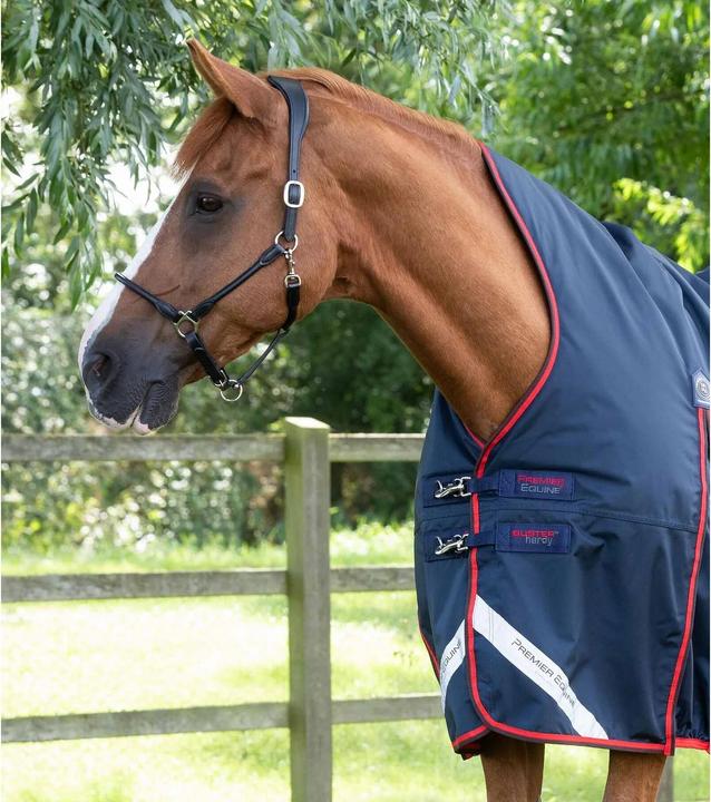Immagine prodotto Premier Equine Buster Hardy 200 g (160 cm)