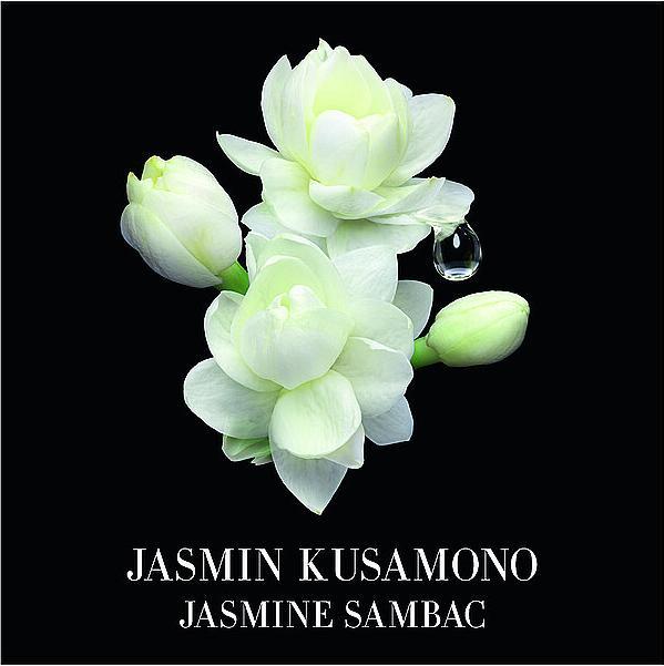 Produktbild Giorgio Armani Jasmin Kusamono (Eau de Toilette, 100 ml)