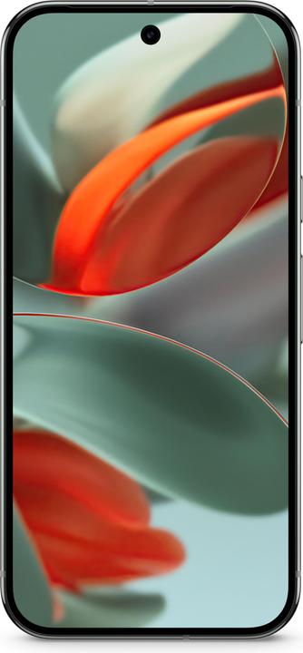 Productafbeelding Google Pixel 9 Pro (512 GB, Hazel, 6.30", Dubbele SIM, 50 Mpx, 5G)