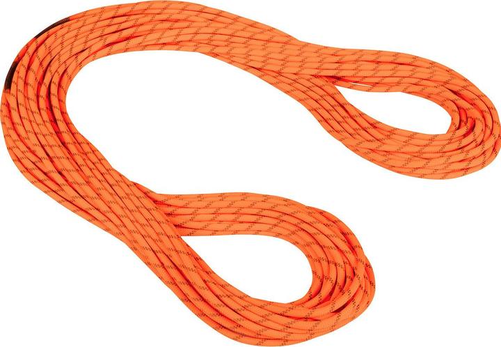 Actual product image Mammut 8.0 Alpine Dry climbing rope (60 m)