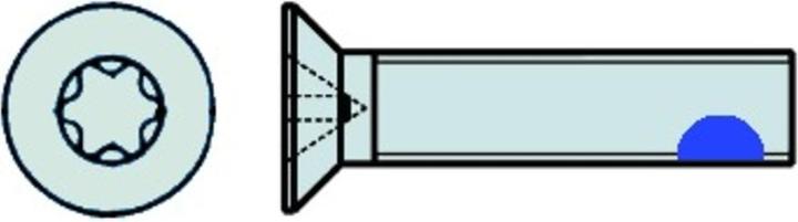 Actual product image Werkstarck Metal screws countersunk head A2 DIN 14581 (1 Screws per piece)