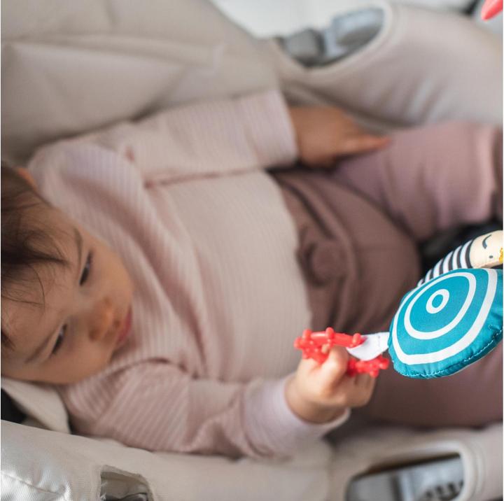 Actual product image Taf Toys Car toy Koala