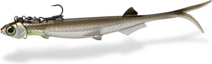 Arkansas shiner
